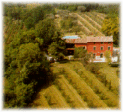 flavio-house-pic.gif (26425 �o�C�g)