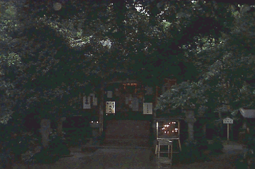 ����������t��