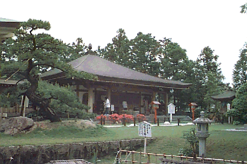 �ώ��ݎ���t��