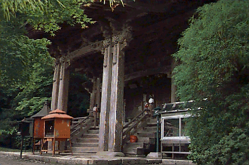 �≮����t��