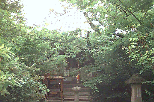 ��ڗ�����t��