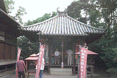 ���ю���t��