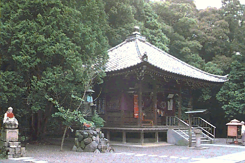 �ɑ�����t��