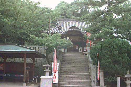 ���R����t��