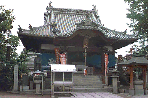 �~������t��