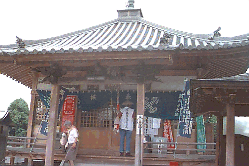 ��������t��