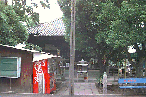 ����V��t��