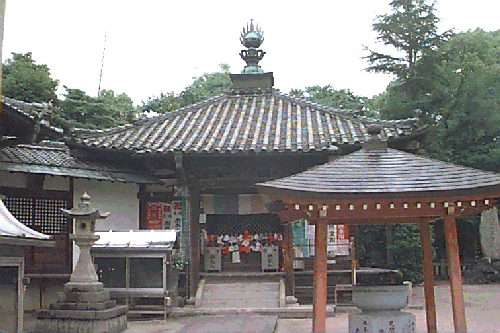 ��������t��