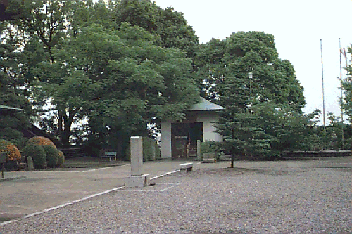 ��������t��