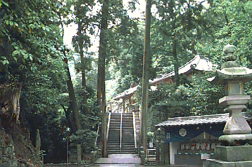 �O�_������