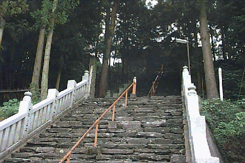 �O�p���Βi