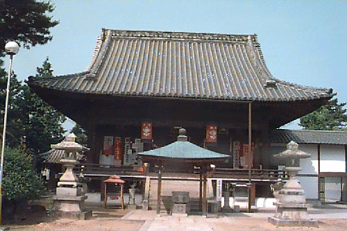 ���q����t��