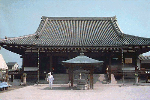 ���q���{��