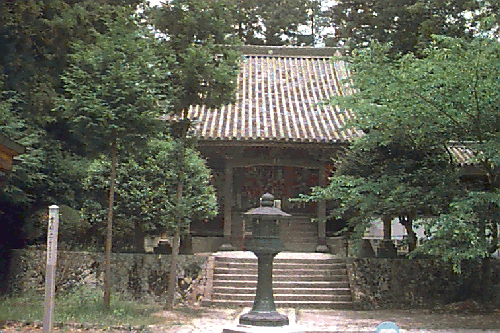 ������{��