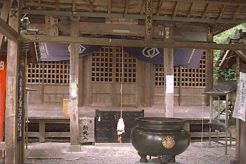 �F�J����t��