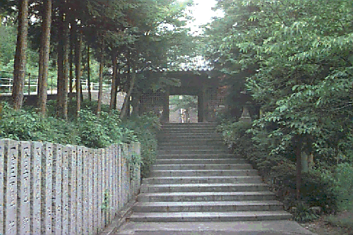 �F�J���Q��