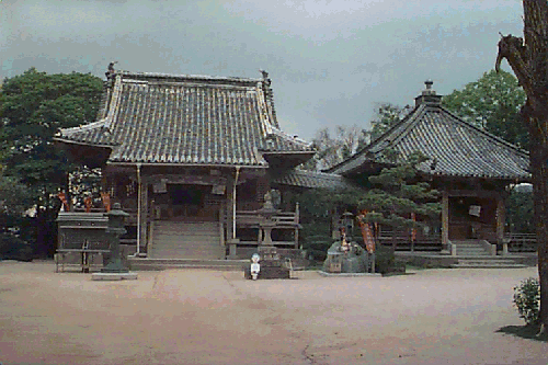 �@�֎��{���Ƒ�t��