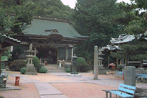 �ؔ����{��