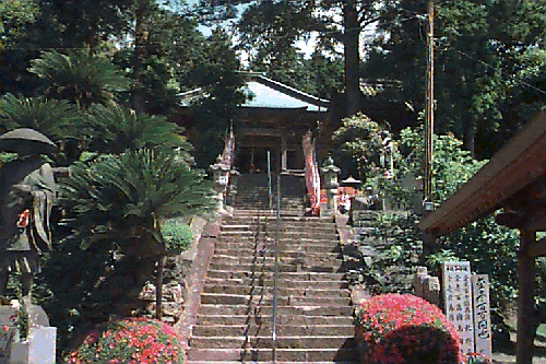 ���R���{��