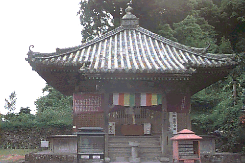 ��������t��