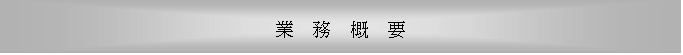 eLXg {bNX:     T  v