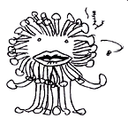 mol-koba.gif