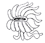mol-tukino.gif