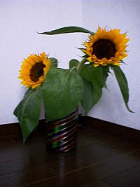 �ꏊ�F����, �B�e�� :Nakany, ���t�F1997/08/10 
�J�����FFuji DS-7 