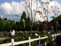 �������N���b�N����Ɖߋ��̃^�C�g���ʐ^�������܂��B