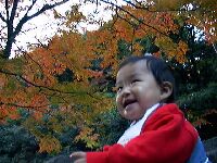 �ꏊ�F���ʌ���, �B�e�� :Nakany, ���t�F1997/11/09 �J�����FFuji DS-7 