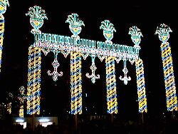 �ꏊ�F�_�ˎO�{�i���~�i���G�j, �B�e�� :Nakany, ���t�F1997/12/13 �J�����FFuji DS-7 