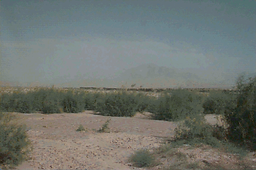 �r��n�̏�̗�