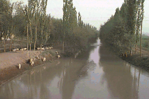 �^�͂̉��ɂЂ�������