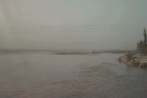 �����̗�����