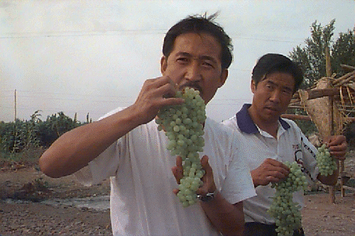 �h���C�o�[�̈�l