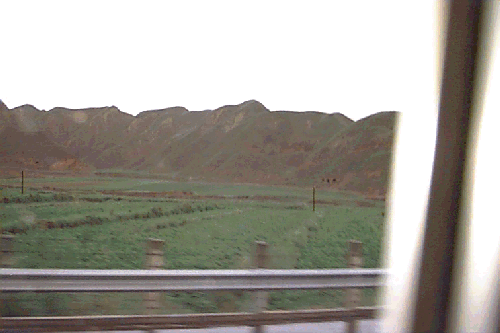 �ԑ�����̕��i