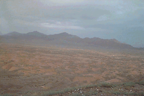 �J�ɔG�ꂽ����