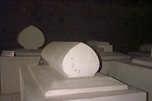 �n�~���̂���̓���