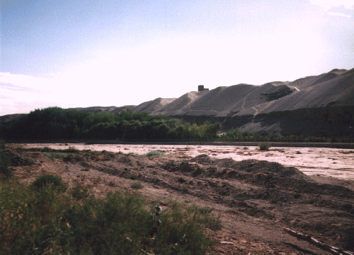 ��R�̘A�Ȃ�