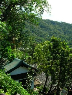 禅園外の風景