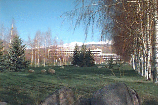 �z�e������̒���