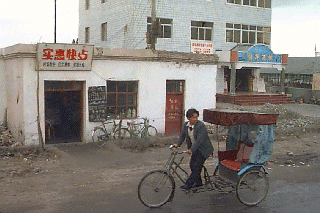 ���������]�Ԃɏ���Ă���ʐ^