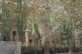 �����A�̕ǖ�