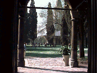 �g�v�J�v�{�a�̒�̔����f�C�W�[