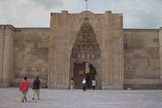 �V���N���[�h�̑����h