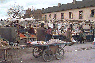 �o�U�[�����i