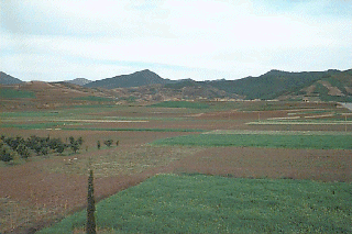 �R���o�b�N�ɔ����L����