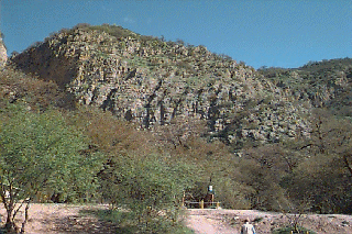 �R�ԕ��̕��i