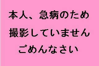 �ʐ^�͂���܂���