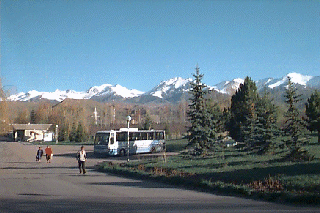 �R���o�b�N�Ƀo�X���Ƃ܂��Ă���